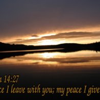Peace - new 500.jpg